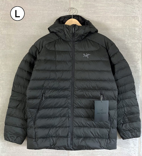 ARC'TERYX アークテリクス セリウム フーディ CERIUM HOODY