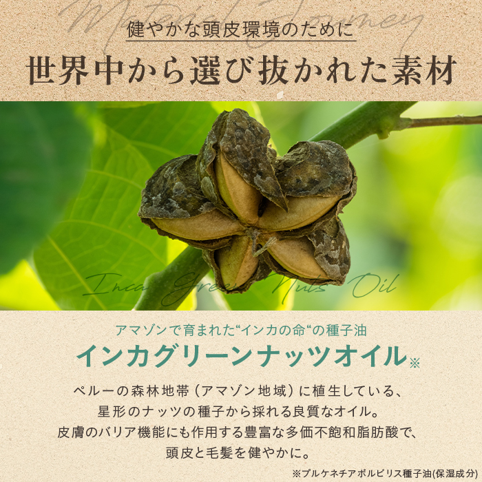 【公式】 スクラブ ヘッドスクラブ メデュラ MEDULLA ボタニカルヘッドスクラブ インバス 頭皮ケア スクラブ 頭皮用 ヘッドスパ |  | 07