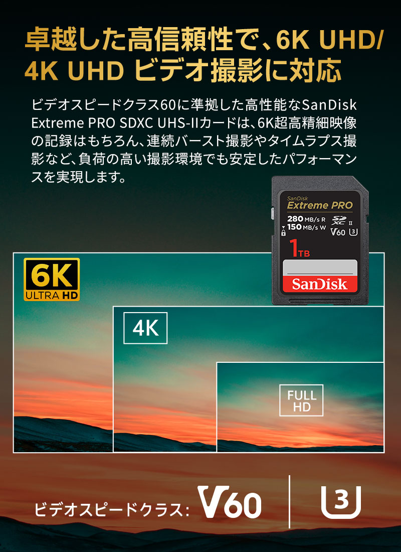 SanDisk（サンディスク） SDXCカード 1TB sandisk Extreme Pro SD