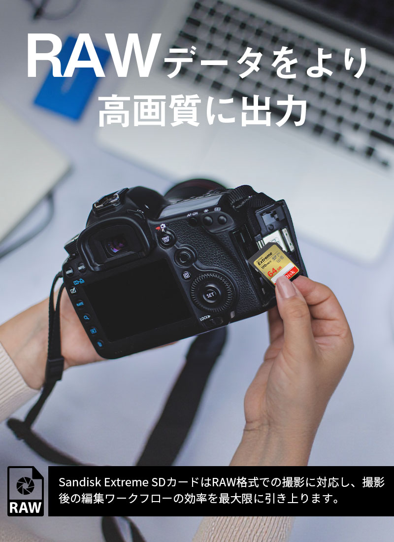 SanDisk（サンディスク） ポイント5倍 SanDisk Extreme SDXC 64GB UHS