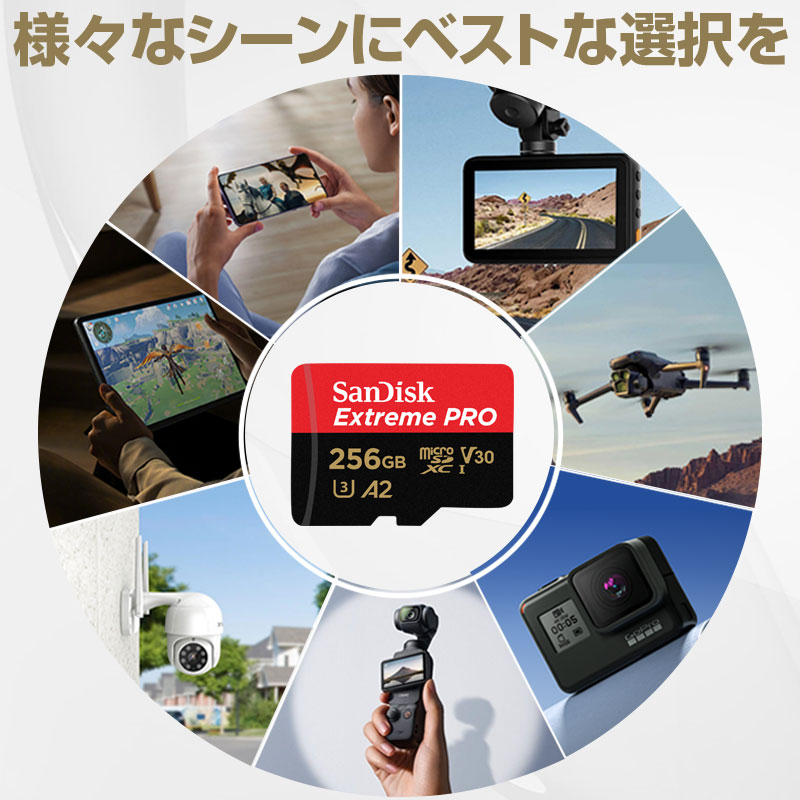 SanDisk（サンディスク） ポイント2倍 microSDXCカード 256GB SanDisk