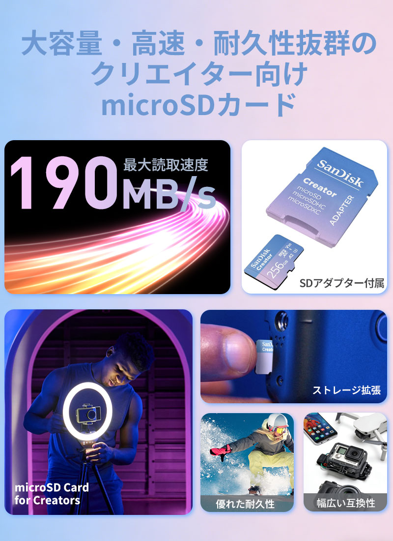 SanDisk（サンディスク） microSDXC 256GB SanDisk UHS-I U3 V30 4K A2