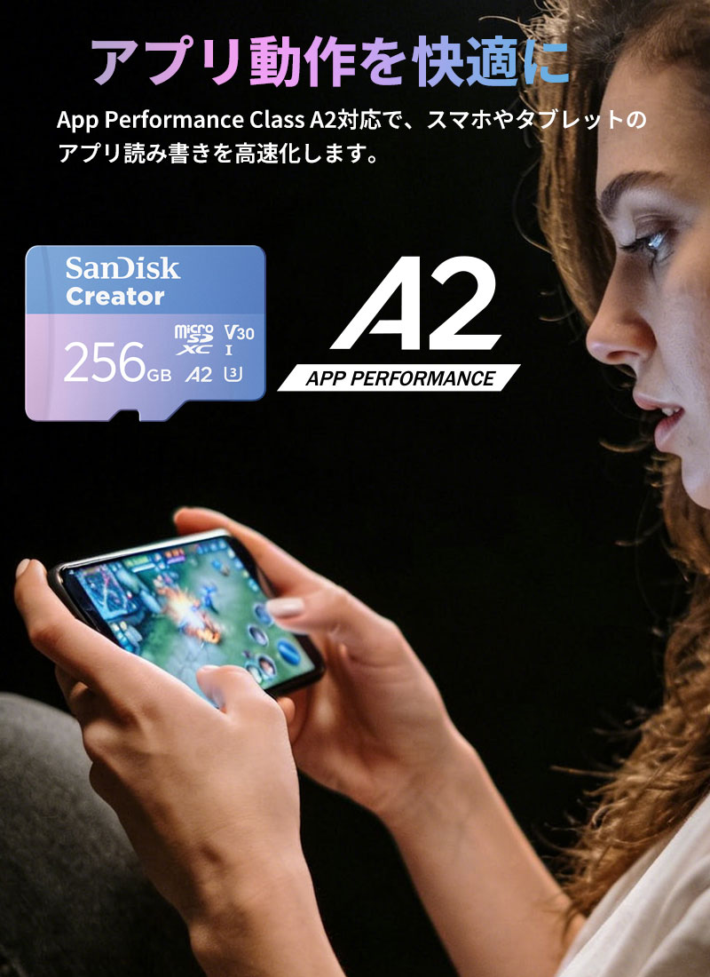 SanDisk（サンディスク） microSDXC 256GB SanDisk UHS-I U3 V30 4K A2
