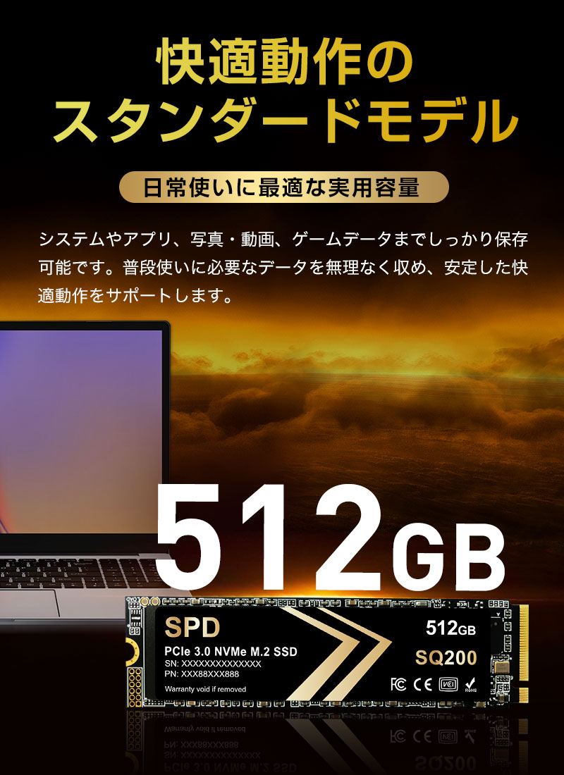 SPD SPD SSD 512GB M.2 2280 PCIe 3.0 NVMe R: 3300MB/s W: 1300MB/s