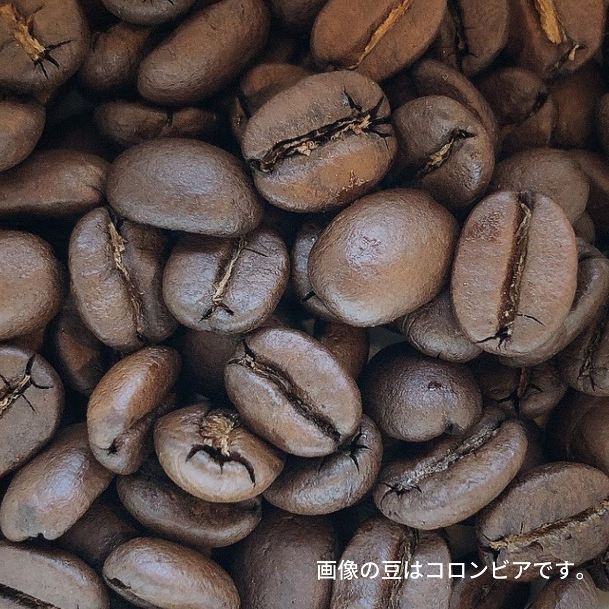 コーヒー好きに贈りたい コーヒー豆 飲み比べ ギフト セット  グアテマラ コロンビア 自家焙煎 スペシャルティコーヒー シングルオリジン 高級　｜specailtycoffeesoh｜02