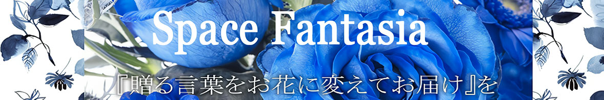 Space Fantasia ヘッダー画像