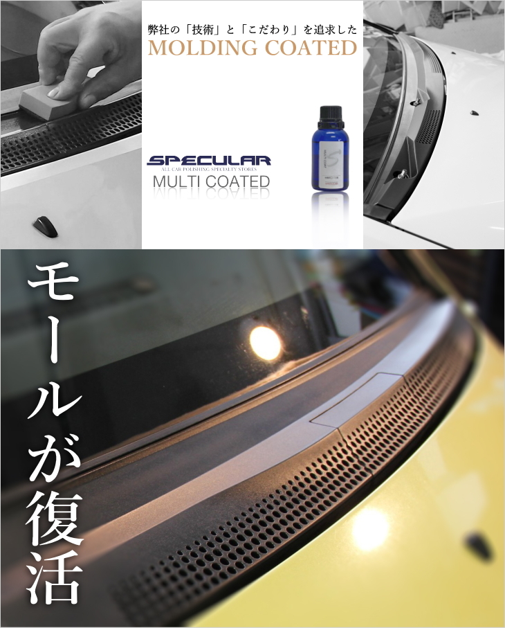 SPECULAR モールコート剤 マルチコート 20ml 自動車用 スペキュラー