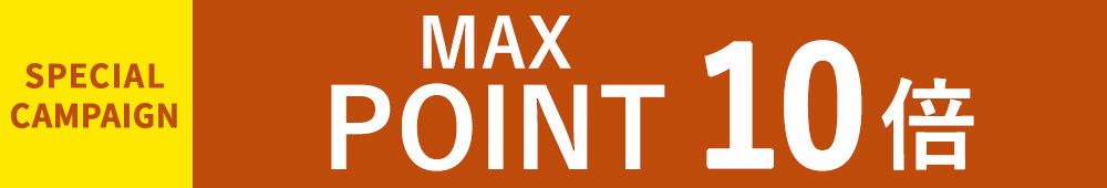ݥMAX10