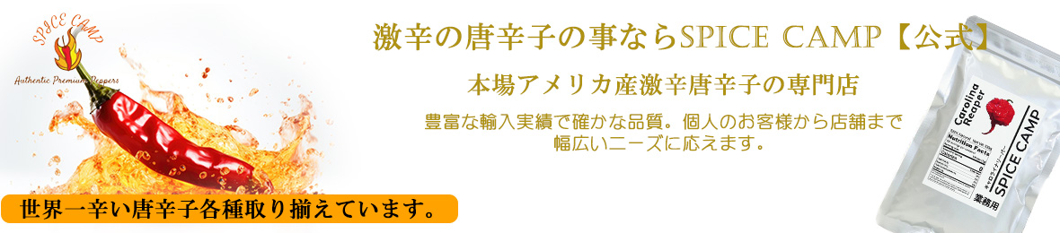 SPICE CAMP ヘッダー画像