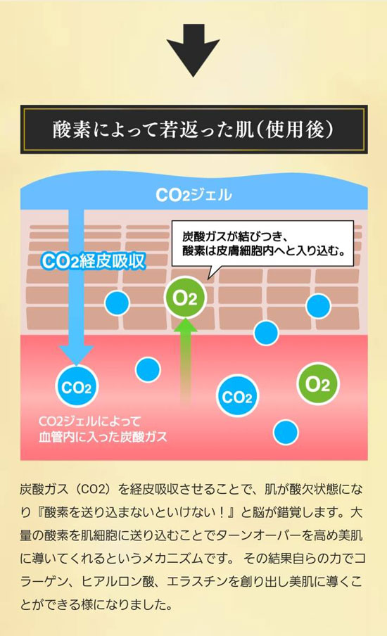 炭酸パック Decolle Gel Pack デコールジェルパック 10回分
