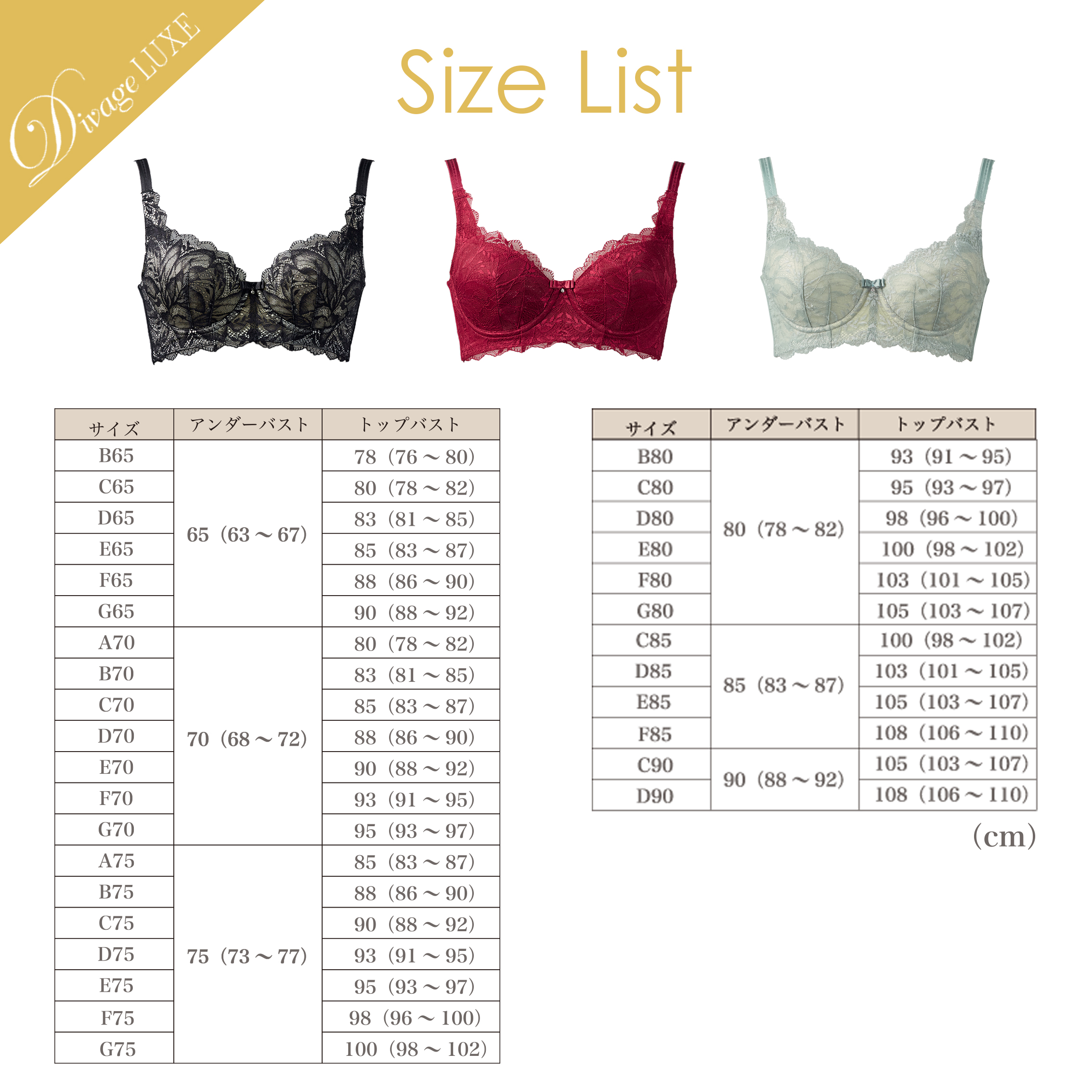Divage LUXE ディヴァージュ リュクス ブラジャー ブラック