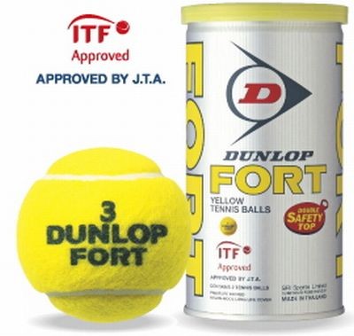 ダンロップ DUNLOP 硬式テニスボール FORT フォート 2球 上等 2個入 1缶