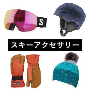 SALOMON（サロモン） 旧モデル処分価格！ サロモンスキーポール スキー