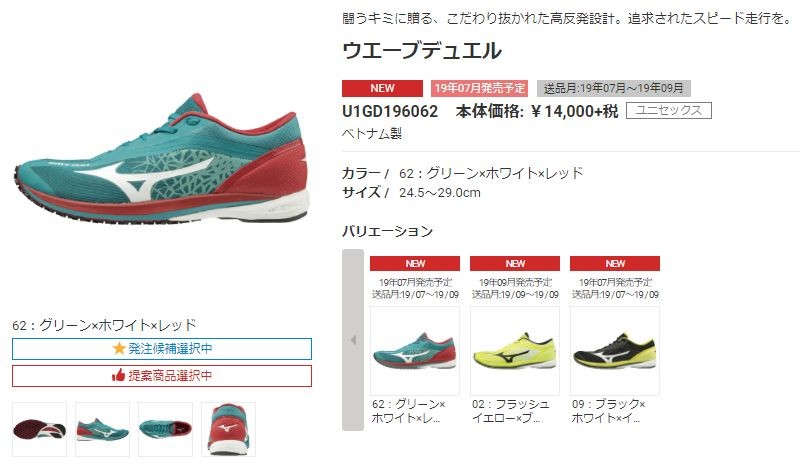 MIZUNO ランニングシューズ ミズノ ウエーブデュエル WAVE DUEL