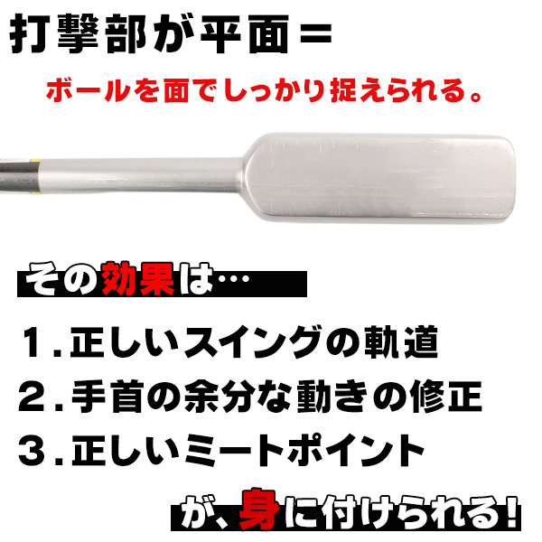 ザナックス トレーニングバット フラットラインバット