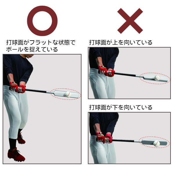 ザナックス トレーニングバット フラットラインバット