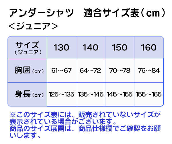 デサント 野球 アンダーシャツ 冬用 ジュニア 裏起毛 ハイネック 丸首 長袖 少年野球 ジュニア 暖か インナー