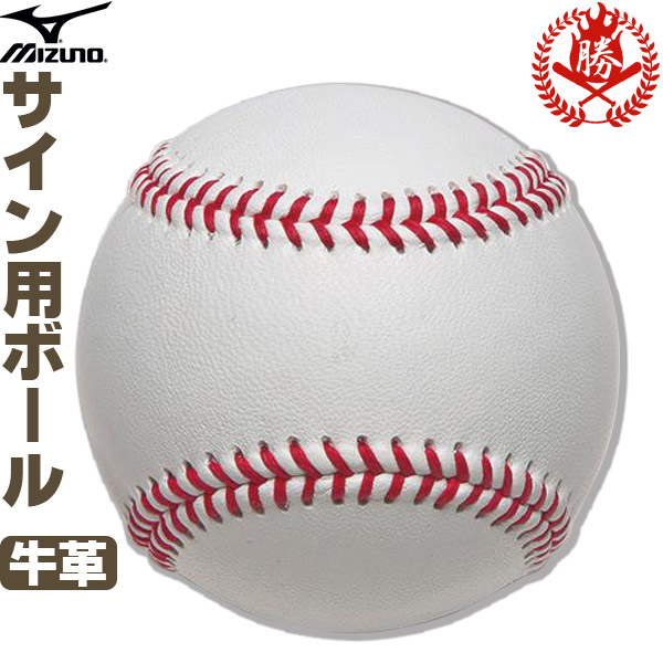 サインボール / ミズノ サイン用 ボール メモリアルグッズ 記念品 プレゼント 野球 mizuno 1gjyb13000 sign-ball01