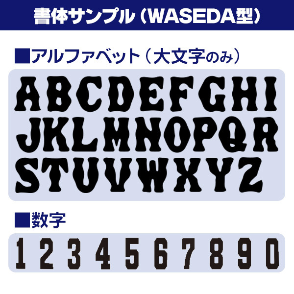 デサントウェア 専用マーキング 左肩 斜めプリント WASEDA型