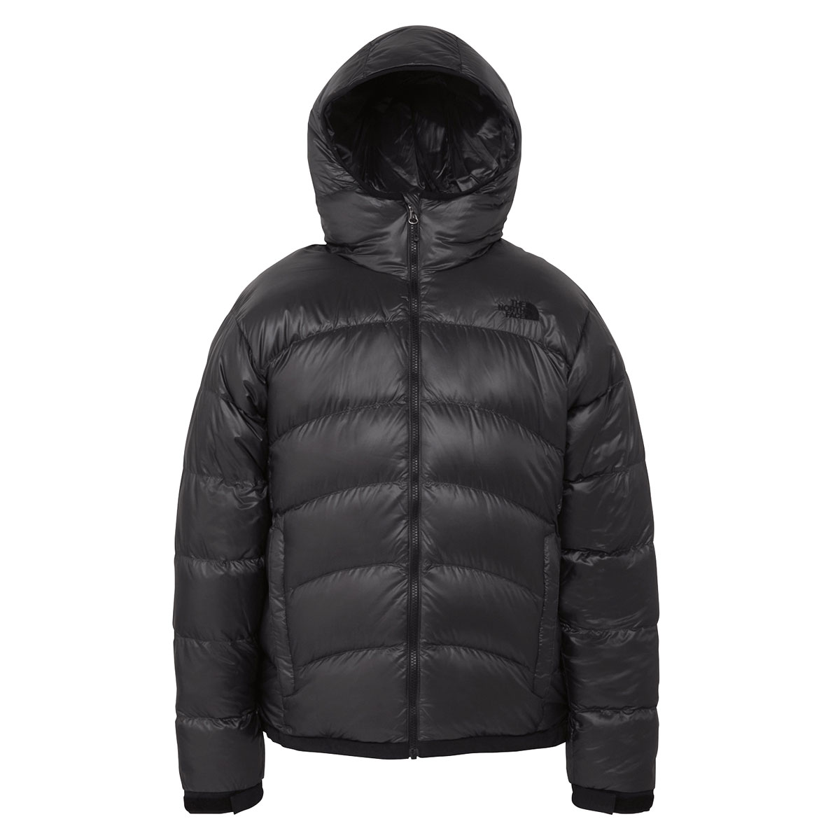 THE NORTH FACE（ザ ノースフェイス） アコンカグアフーディー メンズ