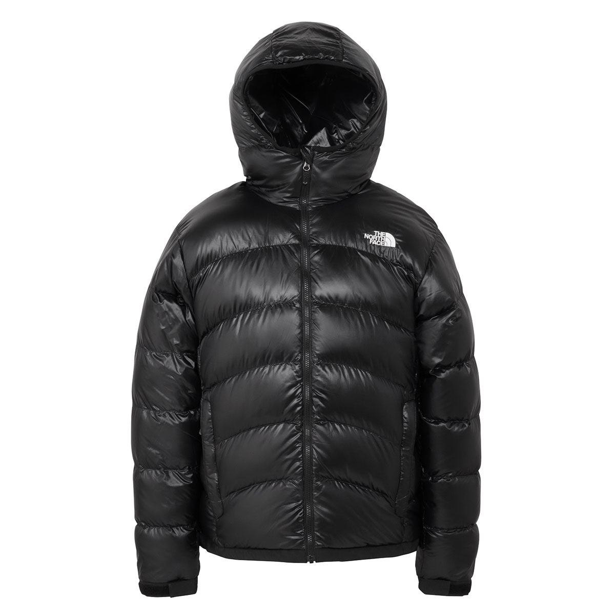 THE NORTH FACE（ザ ノースフェイス） アコンカグアフーディー メンズ