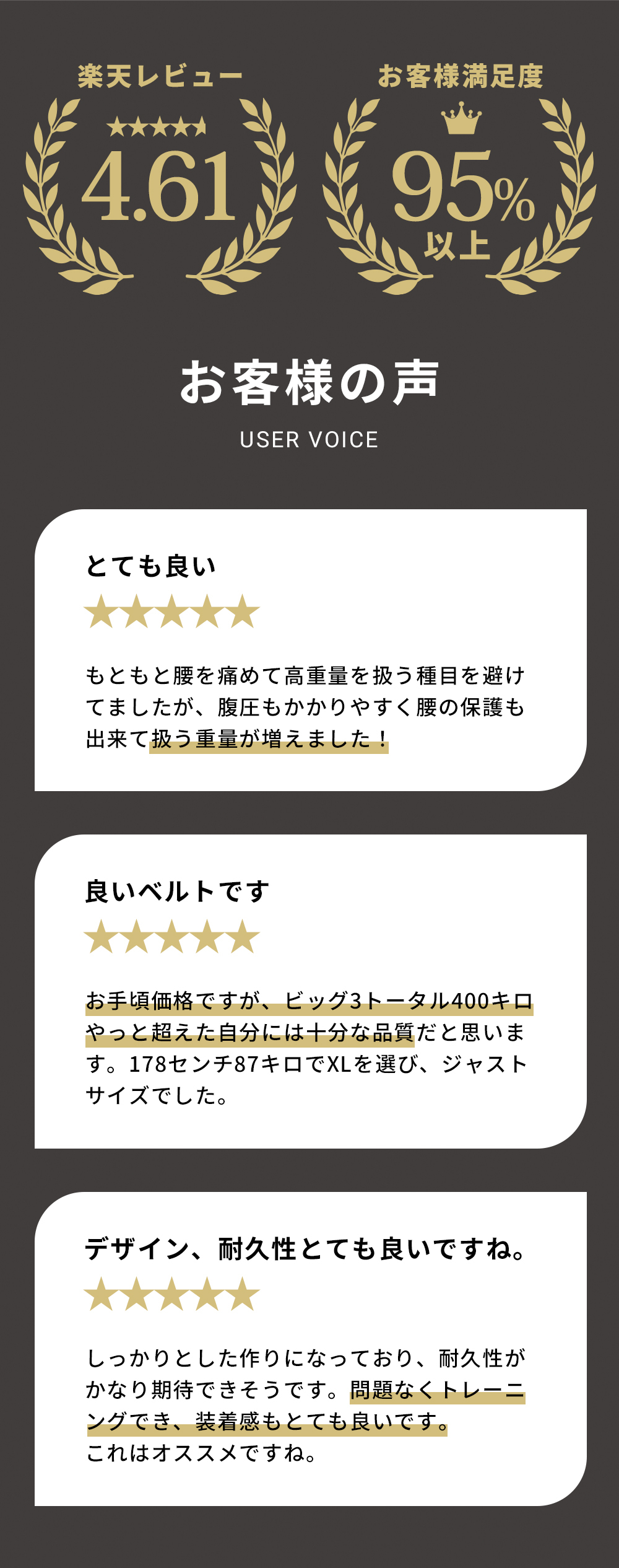 パワーベルト　トレーニングバッグ　RDX