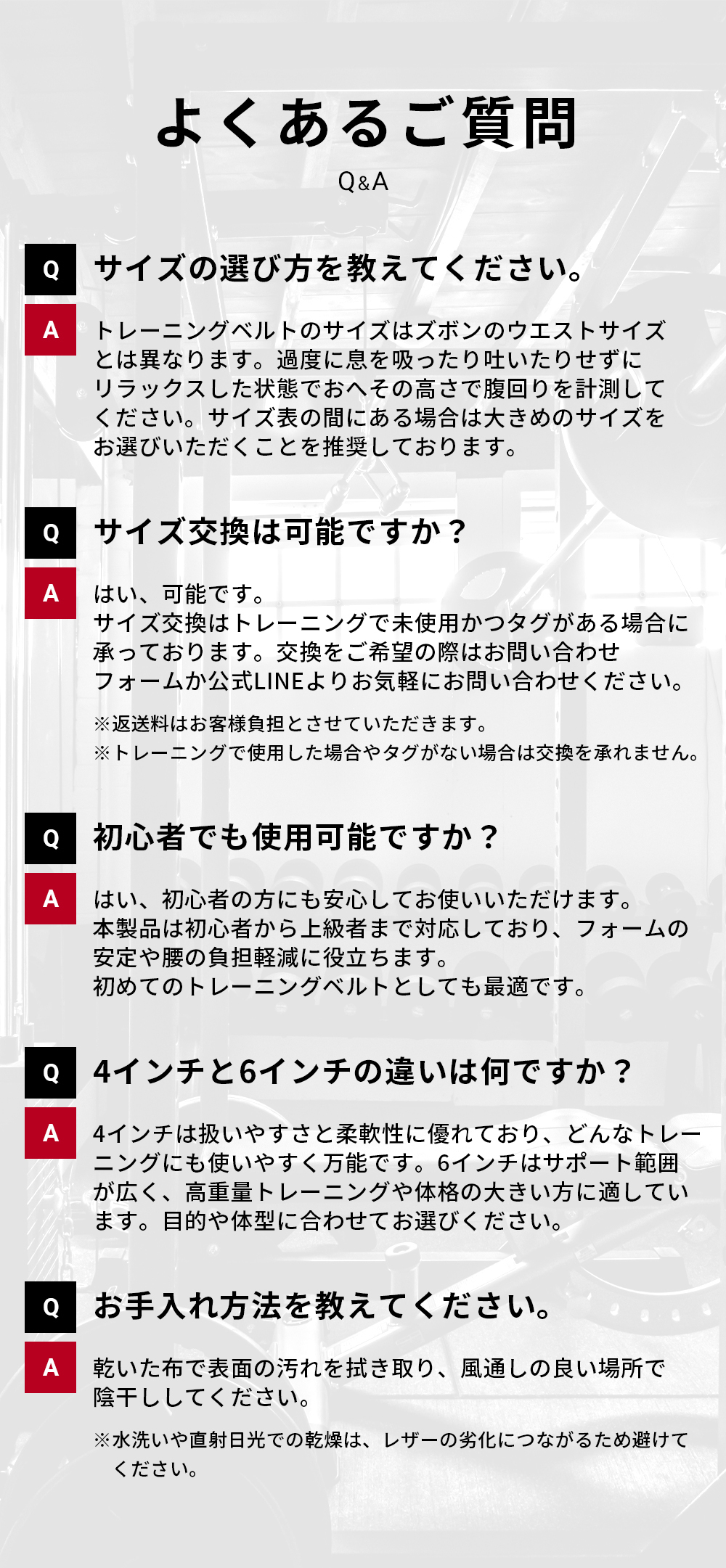 パワーベルト　トレーニングバッグ　RDX