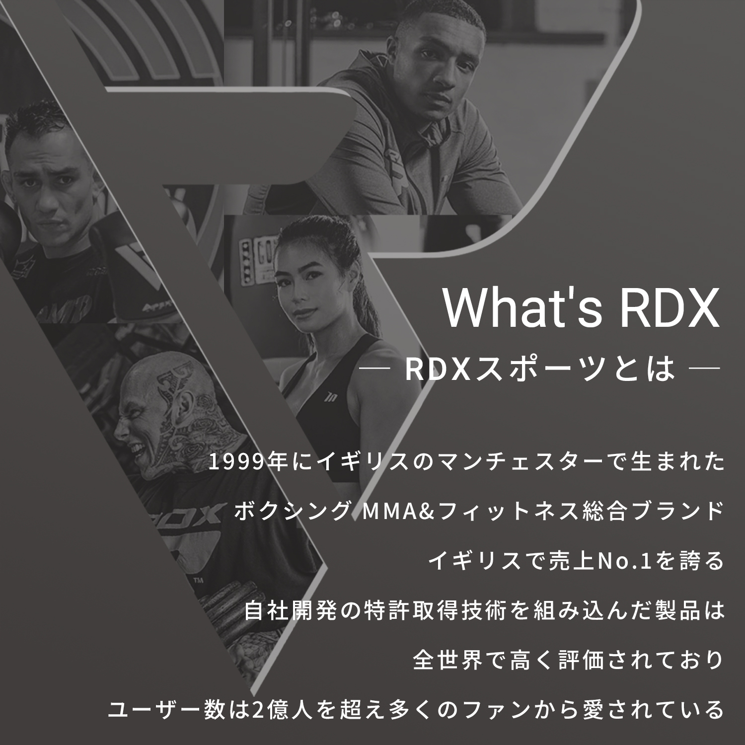 RDX 公式 ネックハーネス ヘッドハーネス 首 背中 筋トレ 首トレ