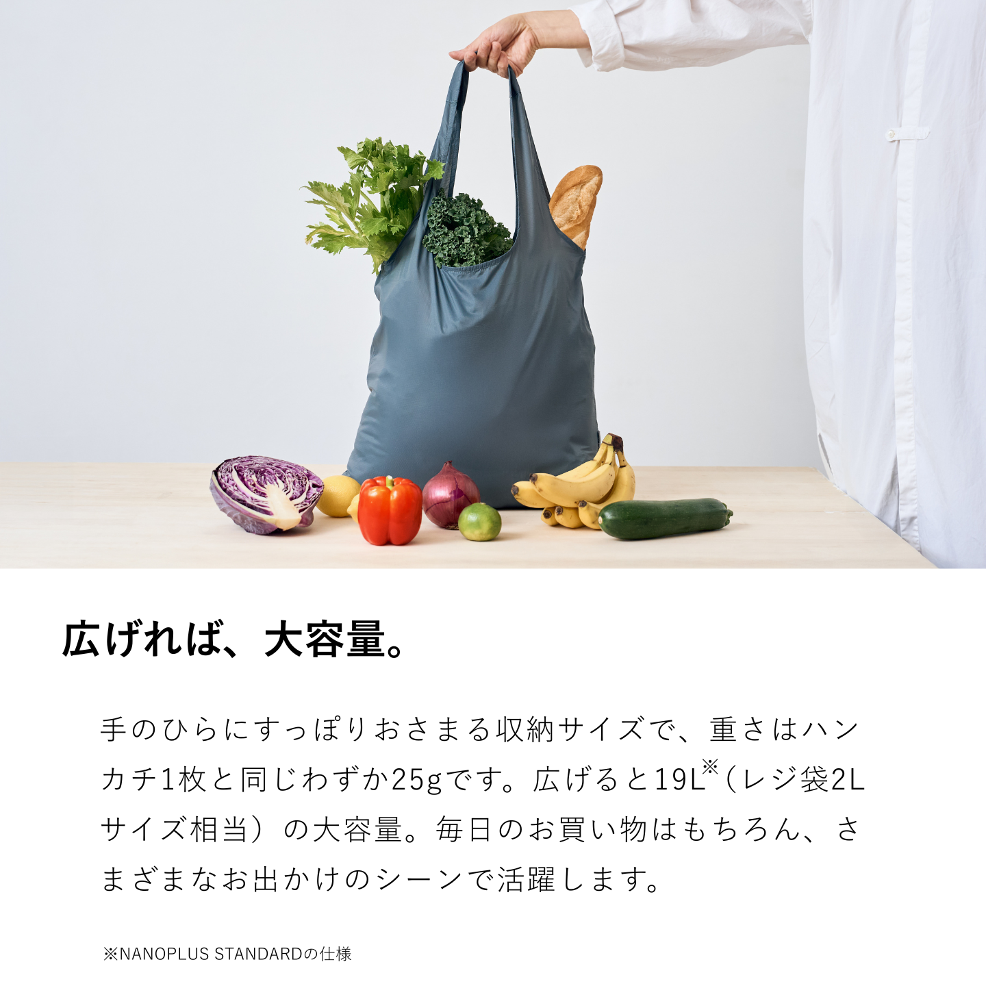 NANOPLUS（ナノプラス） エコバッグ 最大容量サイズ NANOPLUS 2XL