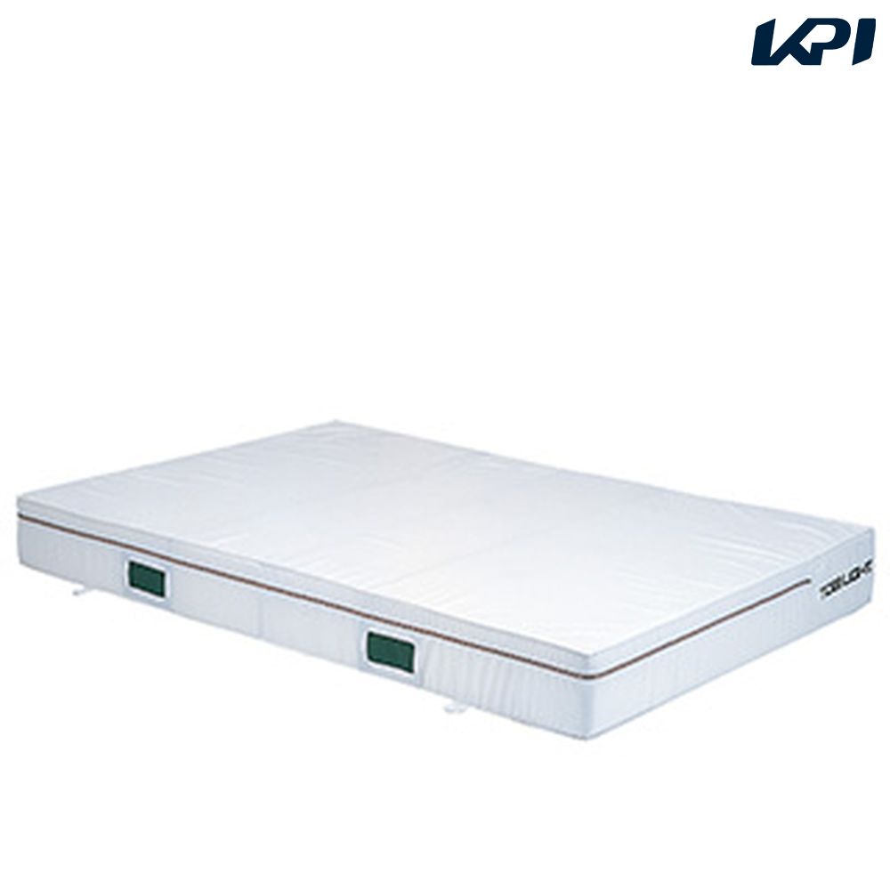 トーエイライト TOEI LIGHT 学校機器設備用品  白・普通１．５×２×０．２カバー G2010A「タイムセール」