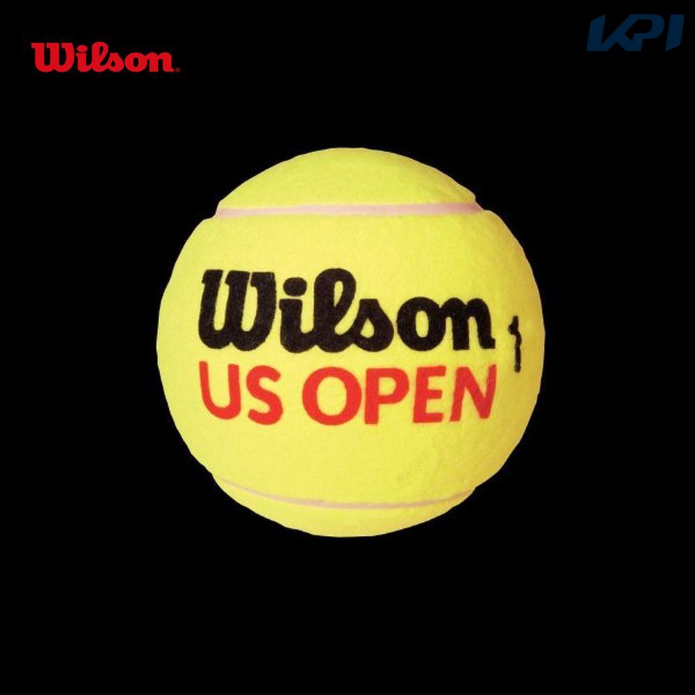 ウイルソン Wilson テニスアクセサリー  US OPEN 5 ミニジャンボTボール WRT1415U