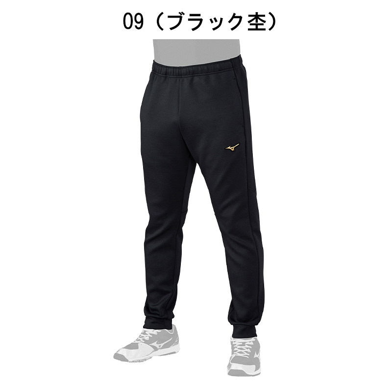 MIZUNO（ミズノ） 野球 ミズノプロ ストレッチス ウェットパンツ