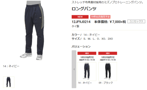 MIZUNO ミズノ ジャージ パンツ メンズ トレーニングウェア 野球
