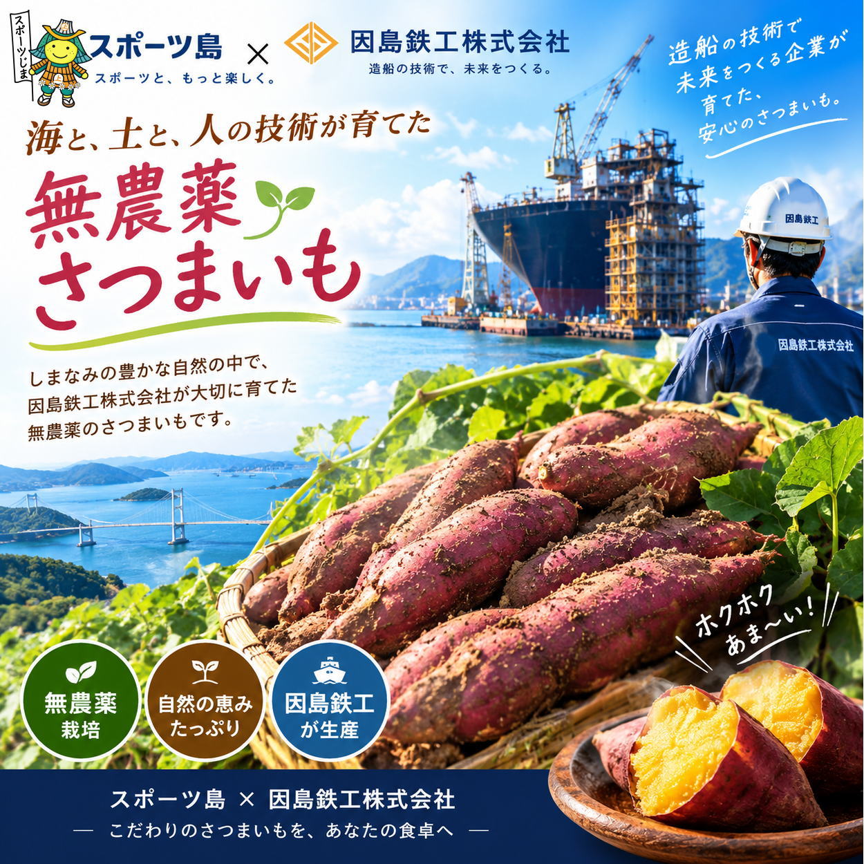 さつまいも 5kg 紅はるか 因島産 農薬未使用 化学肥料不使用 大きさ