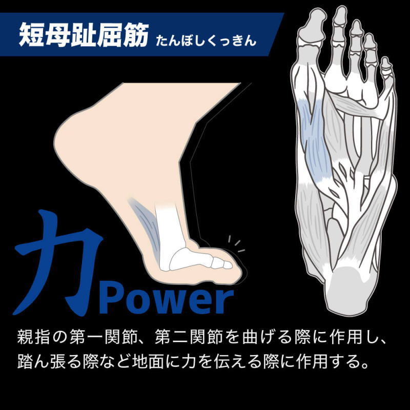 Activital（アクティバイタル） フットサポーター プロ PRO ダブル