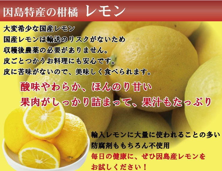 レモン 3キロ 瀬戸田レモン 瀬戸内 せとだ しまなみ せとうち