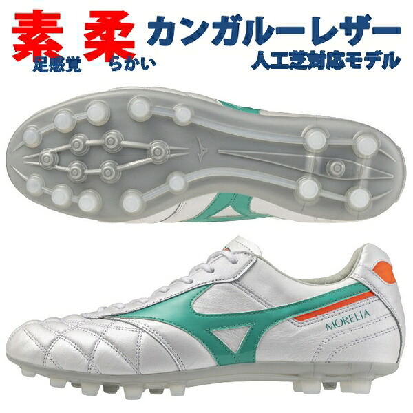 p1ga260335-a1.jpg?size=n