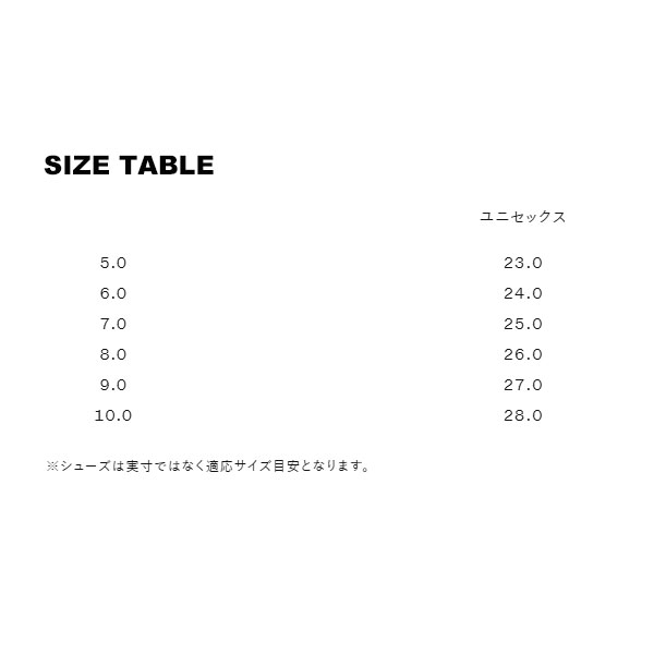 THE NORTH FACE（ザ ノースフェイス） タウント II ゴアテックス（ユニ