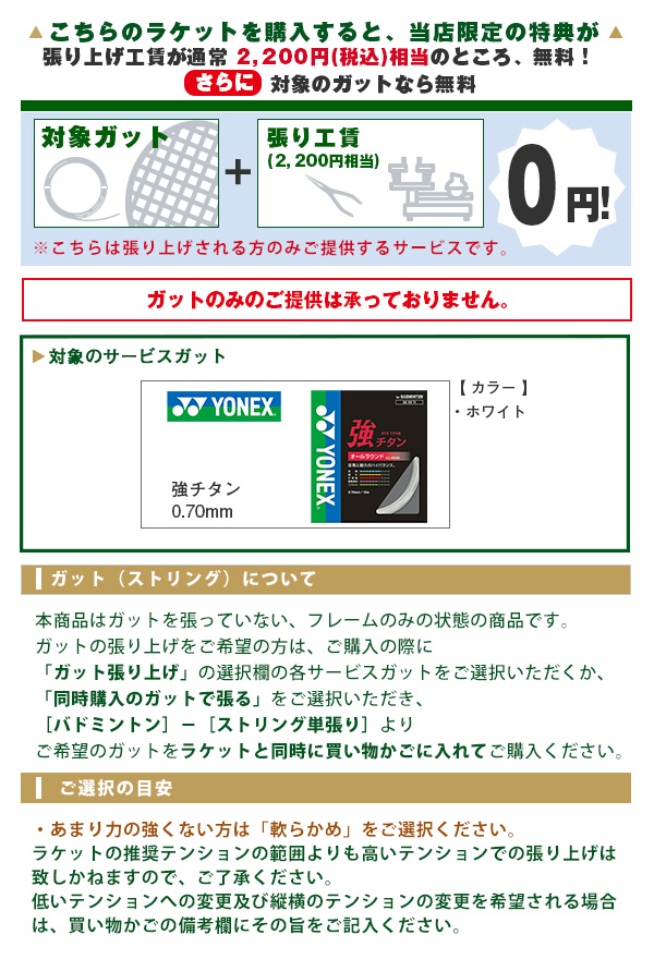 ASTROX ヨネックス バドミントンラケット アストロクス100ゲーム