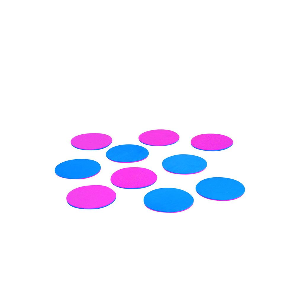 エバニュー EVERNEW フィットネス・エクササイズ用品  屋内スポーツリバーシR 10枚組  ETE092