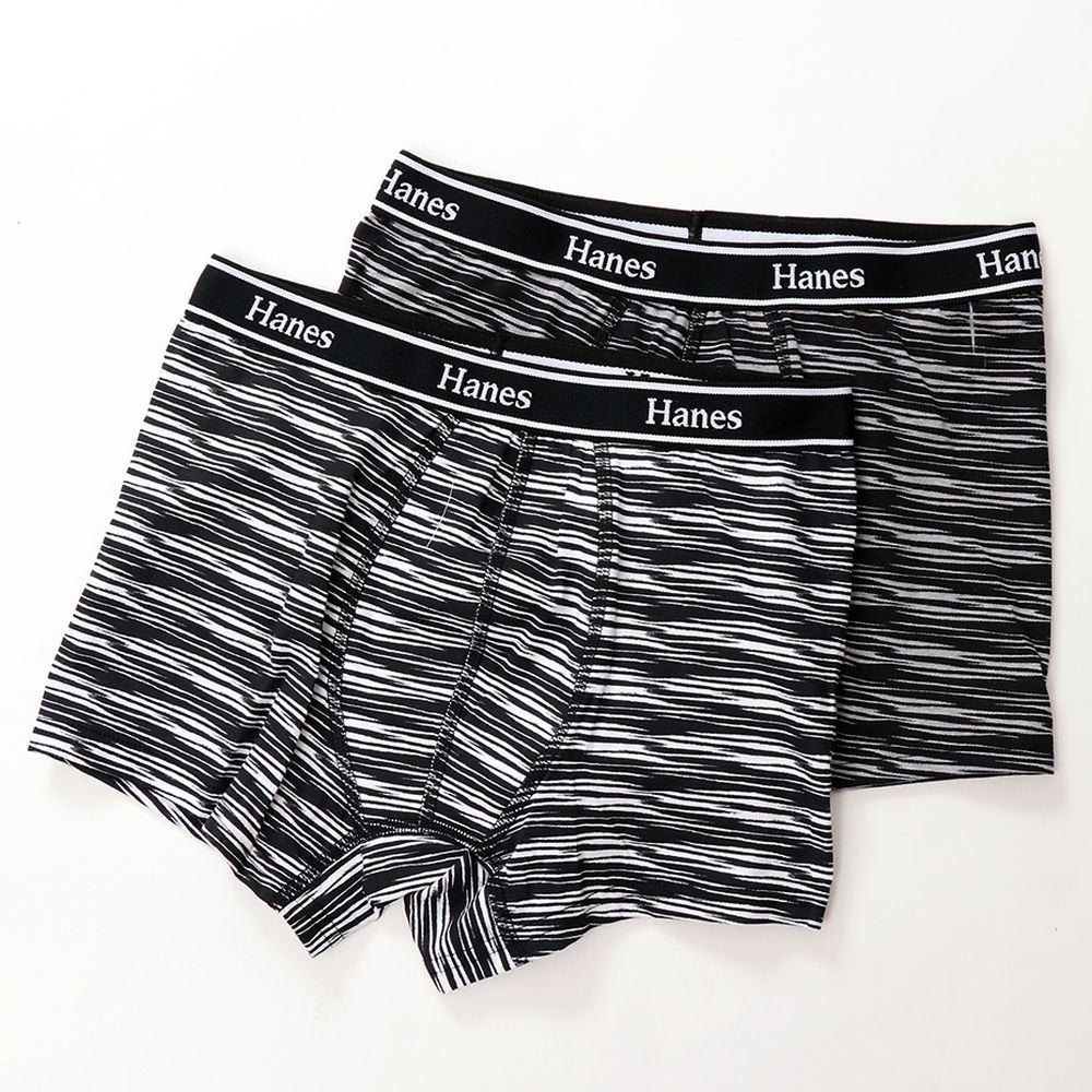Hanes カジュアルウェア メンズ 1P BOXER BRIEF  ZEBRA  ボクサーブリーフ HM6EQ201 2020FW