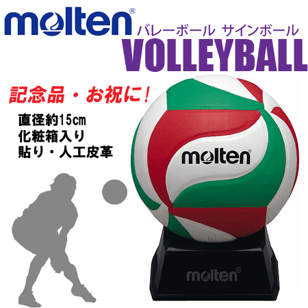 お買い得10個セット モルテン molten バレーボール サインボール 10個