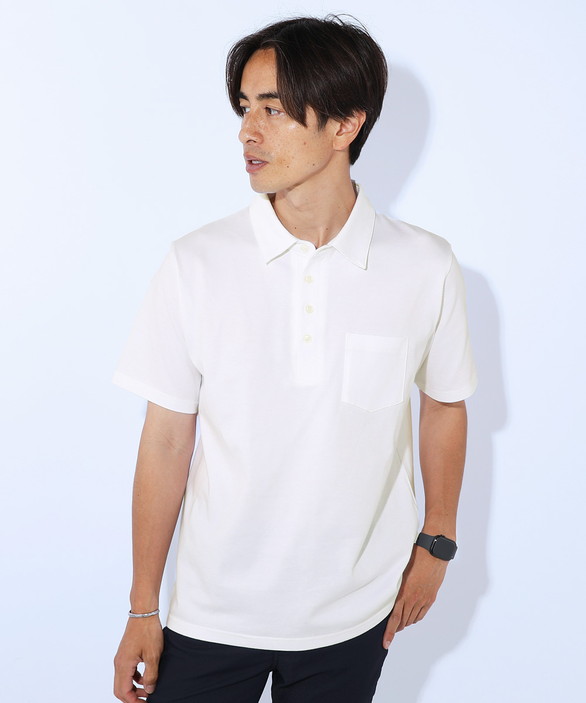 プリスティン　PRISTINE メンズポロシャツ DLARGE.JPG