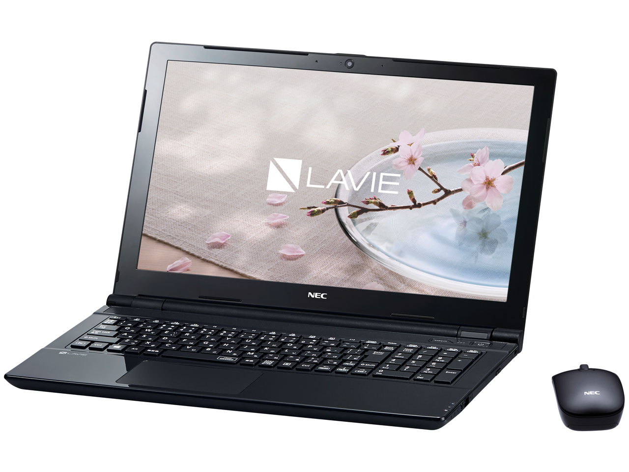 LAVIE Note Standard NS150/G 2017年春モデル　第7世代Celeron（R)3855U  1.6GHZ/8GB/高速SSD256GB　WEBカメラ　WIFI　MSoffice　HDMI/USB3.0｜srepcstore｜04