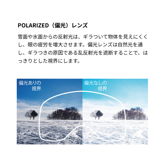 スノーゴーグル SWANS スワンズ ROVO ロヴォ 偏光レンズ ULTRA