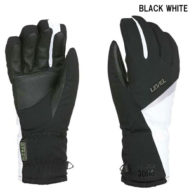 スノーグローブ　グローブ　レディース  LEVEL レベル 　女性用　スキー　スノボー　ウィンター Alpine W　【3345WG】 |  | 01