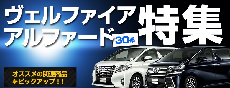 30系 前期 ヴェルファイア エアロ車 専用 フロントバンパートリムメッキ 1P TOYOTA トヨタ シェアスタイル  :ss-parts-vellfire30-frontbump1p:LED HIDの老舗シェアスタイル - 通販 - Yahoo!ショッピング