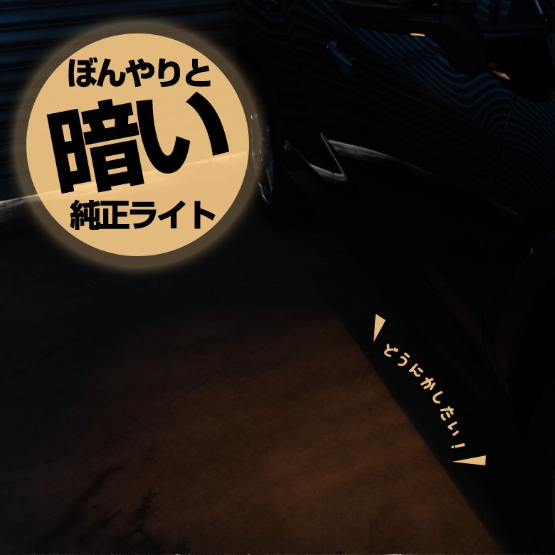 シェアスタイル ハリアー 60系 後期 LED ウェルカムランプ 2P