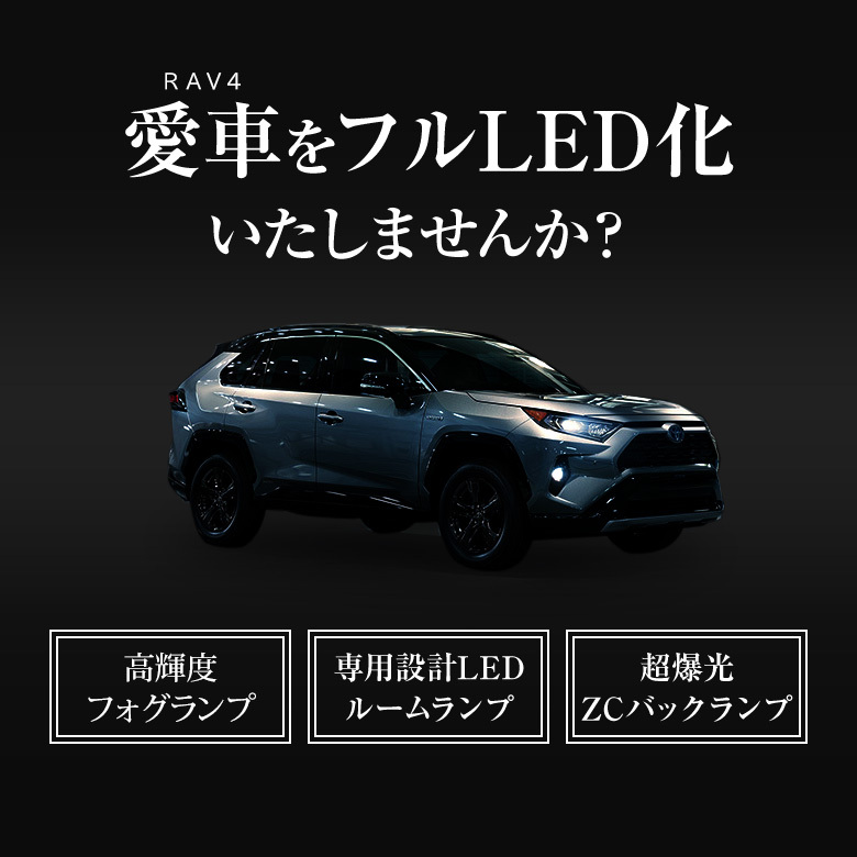 シェアスタイル (セット商品) RAV4 50系 LED フォグライト フルセット
