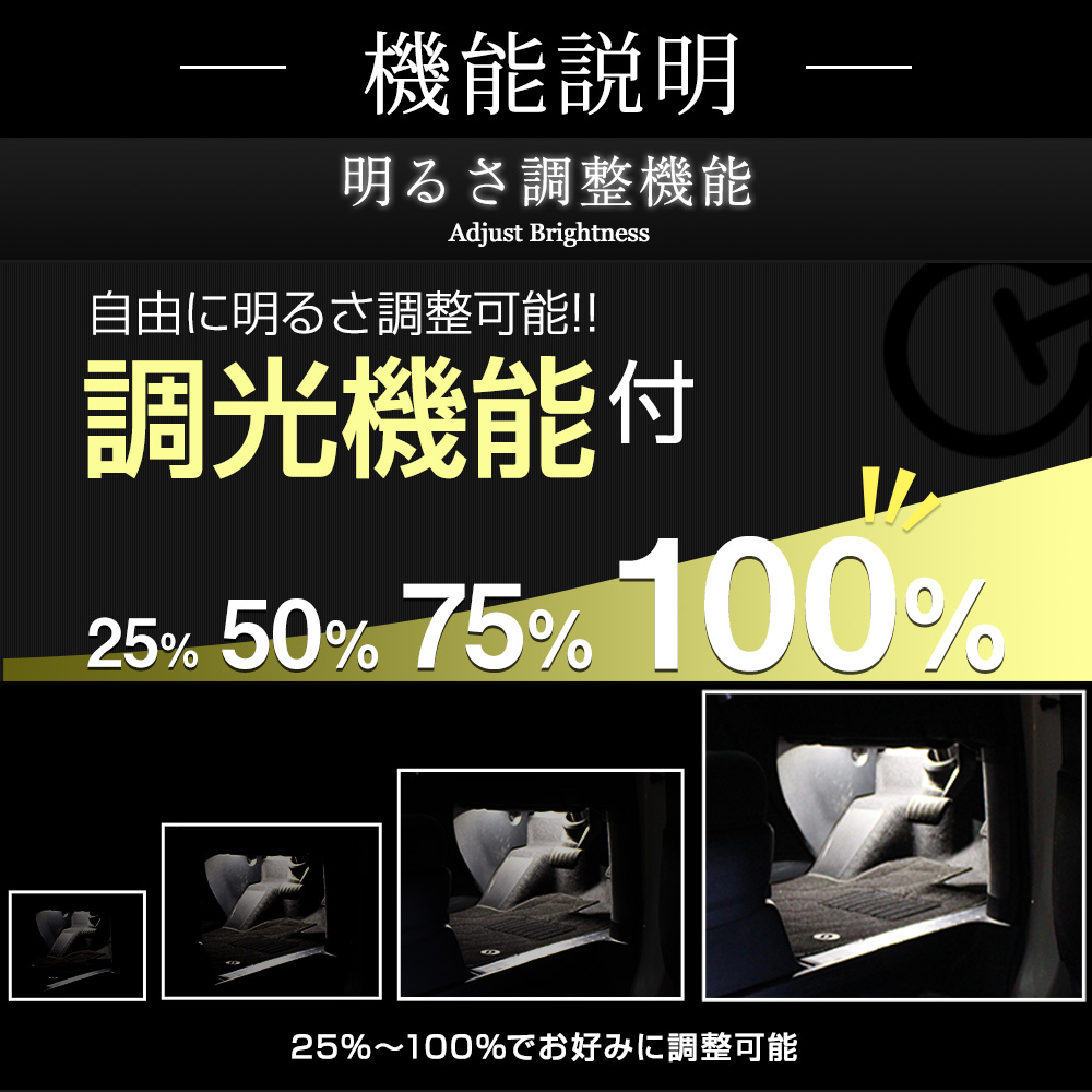 シェアスタイル ランドクルーザー 300 RGBフットランプ 8カラー切替 調